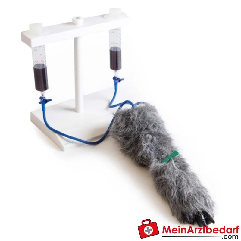 Erler-Zimmer I.V. Injektionsbein Hund