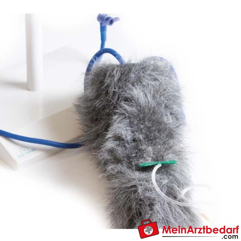 Erler-Zimmer I.V. Injektionsbein Hund