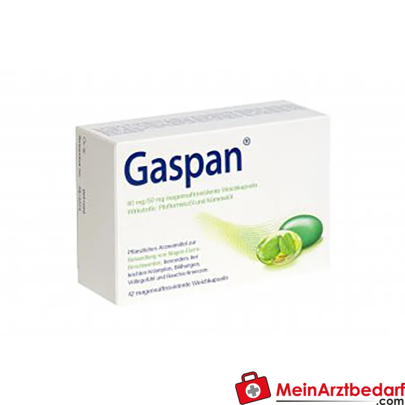 Schwabe Gaspan Weichkapseln 14 St. gegen Blähungen und Völlegefühl, Kümmel Pfefferminzöl