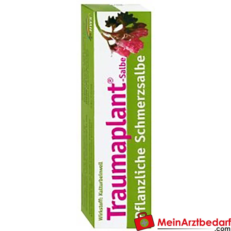 HWS Traumaplant Salbe 100 g – pflanzliche Salbe gegen Prellungen, Verstauchungen, Muskel- & Gelenkschmerz