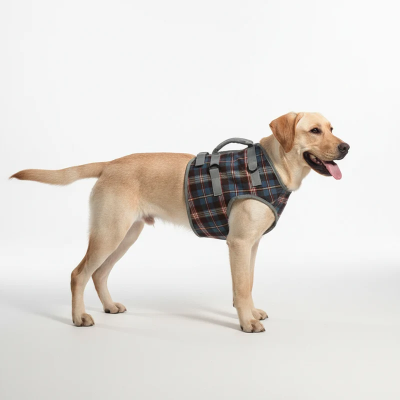 Orthopädisches Hinterbeinsgeschirr - PawRelief
