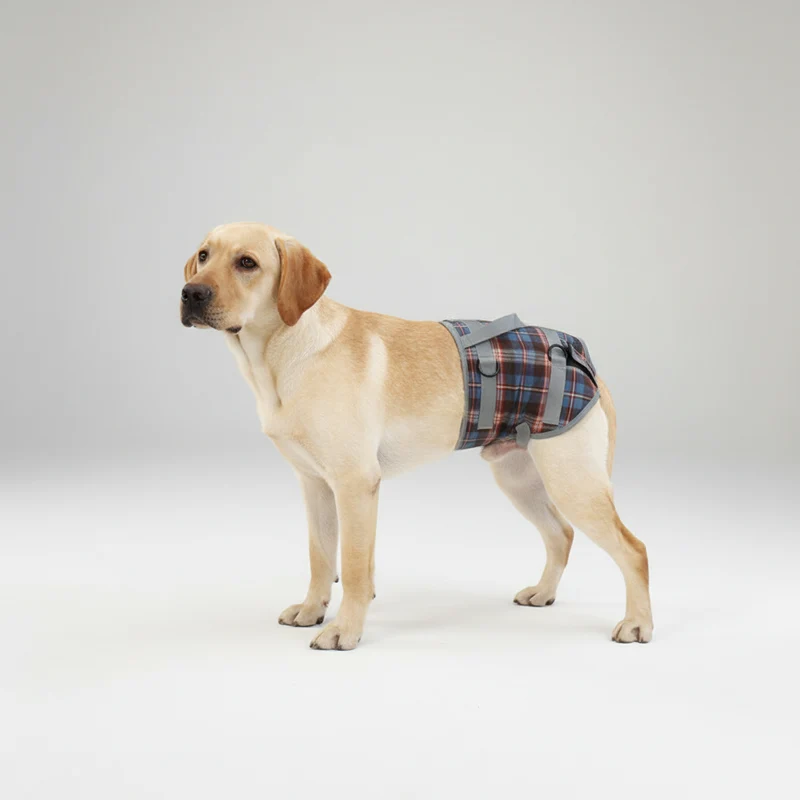 Orthopädisches Hinterbeinsgeschirr - PawRelief