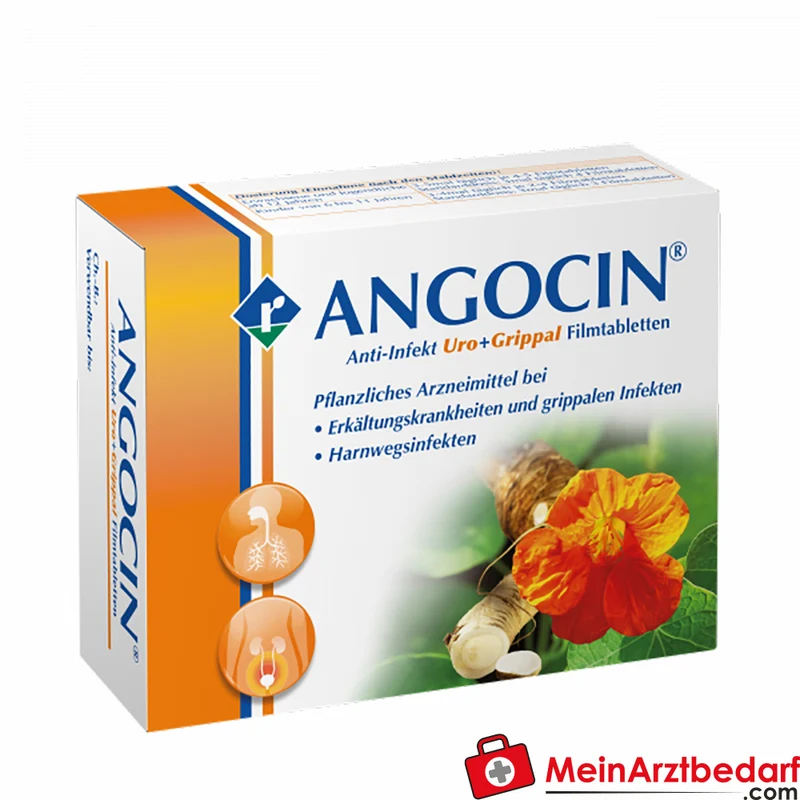 Angocin Anti-Infekt Filmtabletten 100 St. pflanzlich bei Erkältungen & Harnwegsinfekt