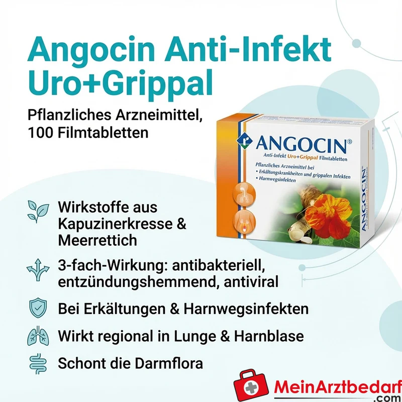 Angocin Anti-Infekt Filmtabletten 100 St. pflanzlich bei Erkältungen & Harnwegsinfekt