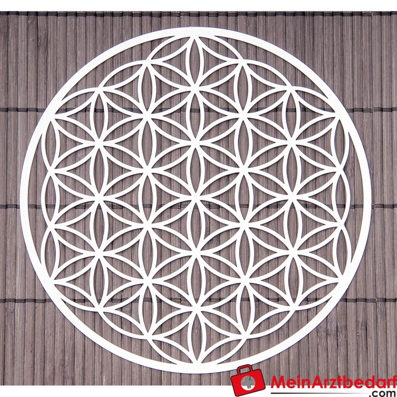Berk Blume des Lebens Edelstahl Wandschmuck 44 cm