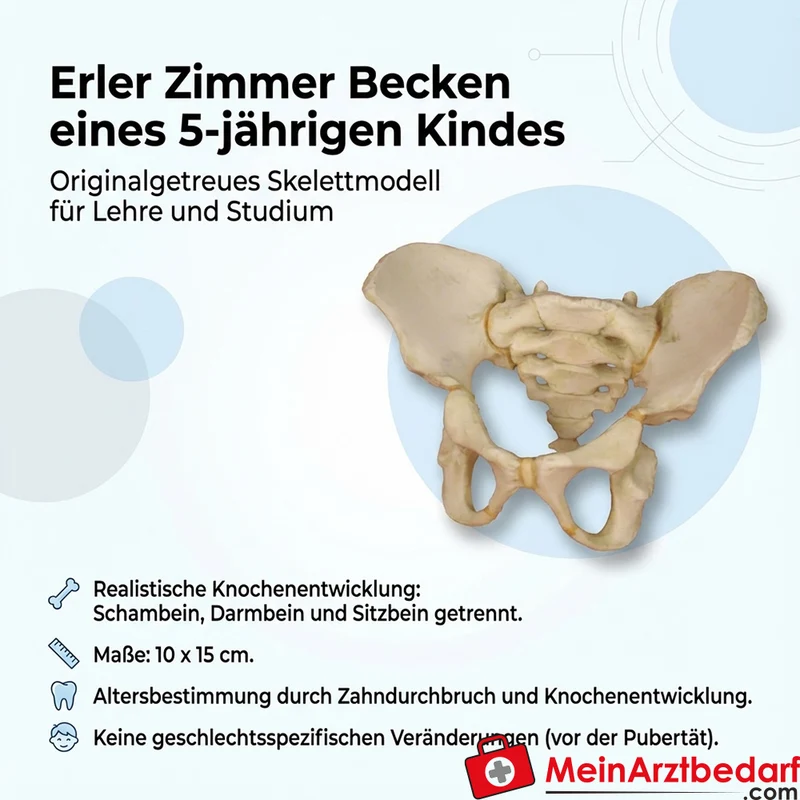 Erler-Zimmer Becken eines 6-jährigen Kindes