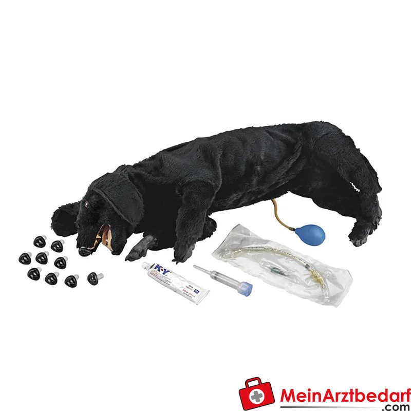 Erler-Zimmer HLW-Übungshund Basis-Ausführung CPR-Trainingsmodell, 10 Nasenstücke, 3 Lungen