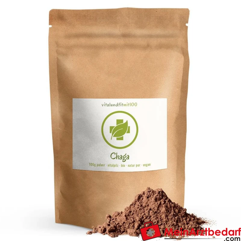 Chaga Pulver (Inonotus obliquus) 100 g Wildsammlung