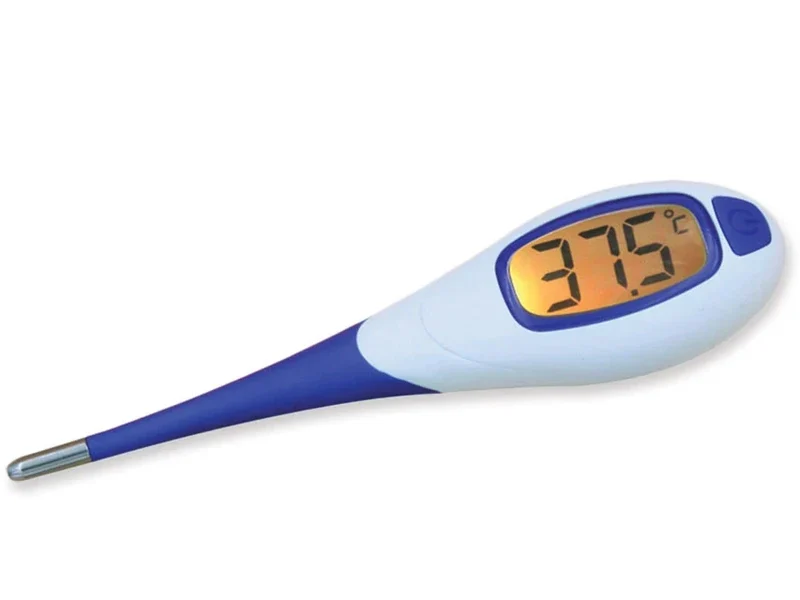 Thermometer digitaal met grote display