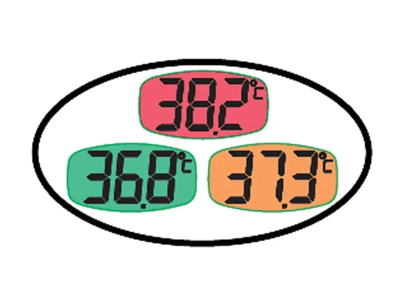 Thermometer digitaal met grote display