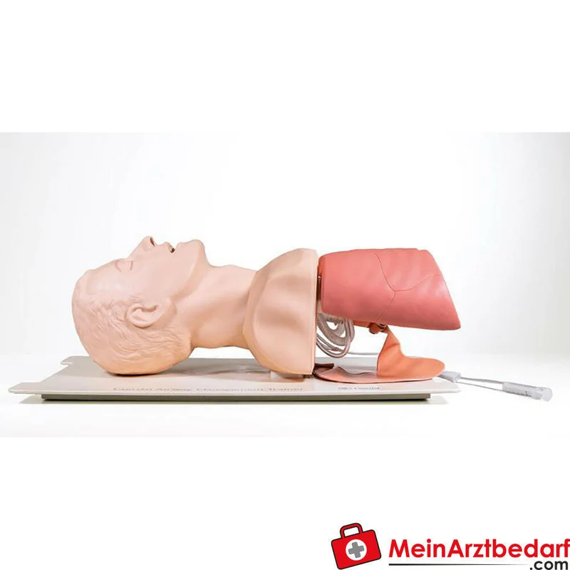 Laerdal Zubehör für Airway Management Trainer