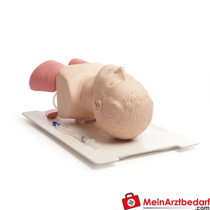 Laerdal Zubehör für Airway Management Trainer