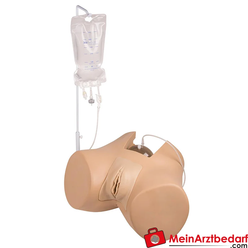 Erler-Zimmer Blasenkatheterisierungs-Simulator m/w, anatomisch realistisch