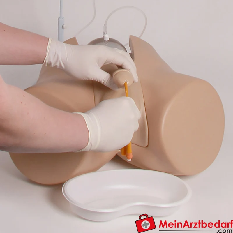 Erler-Zimmer Blasenkatheterisierungs-Simulator m/w, anatomisch realistisch
