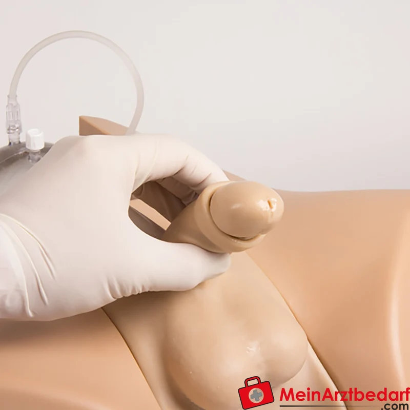 Erler-Zimmer Blasenkatheterisierungs-Simulator m/w, anatomisch realistisch