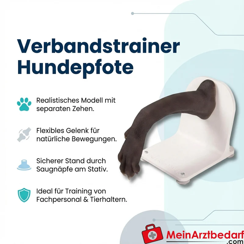 Erler-Zimmer Verbandstrainer Hundepfote, realistisch mit separaten Zehen und flexiblem Gelenk