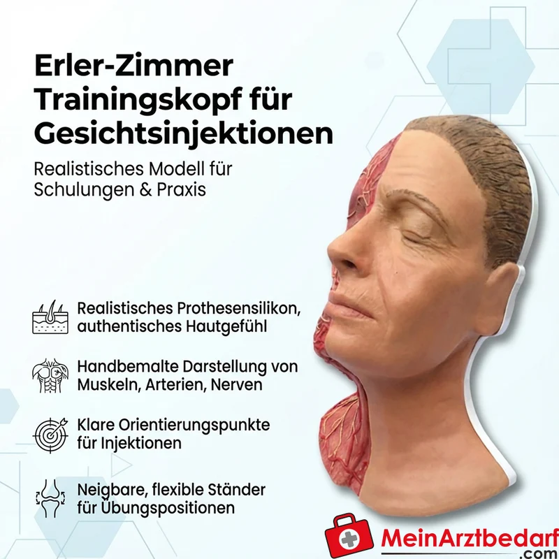 Erler-Zimmer Trainingskopf für Gesichtsinjektionen, Prothesensilikon, Muskeln/Arterien/Nerven