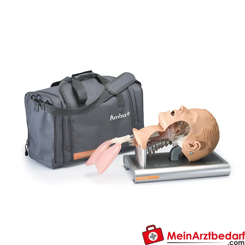 Erler-Zimmer Airway Management Trainer Adult – Erwachsener Intubationstrainer, transparente Pharynx-/Tracheawand, Aluminiumständer 40×24×35 cm