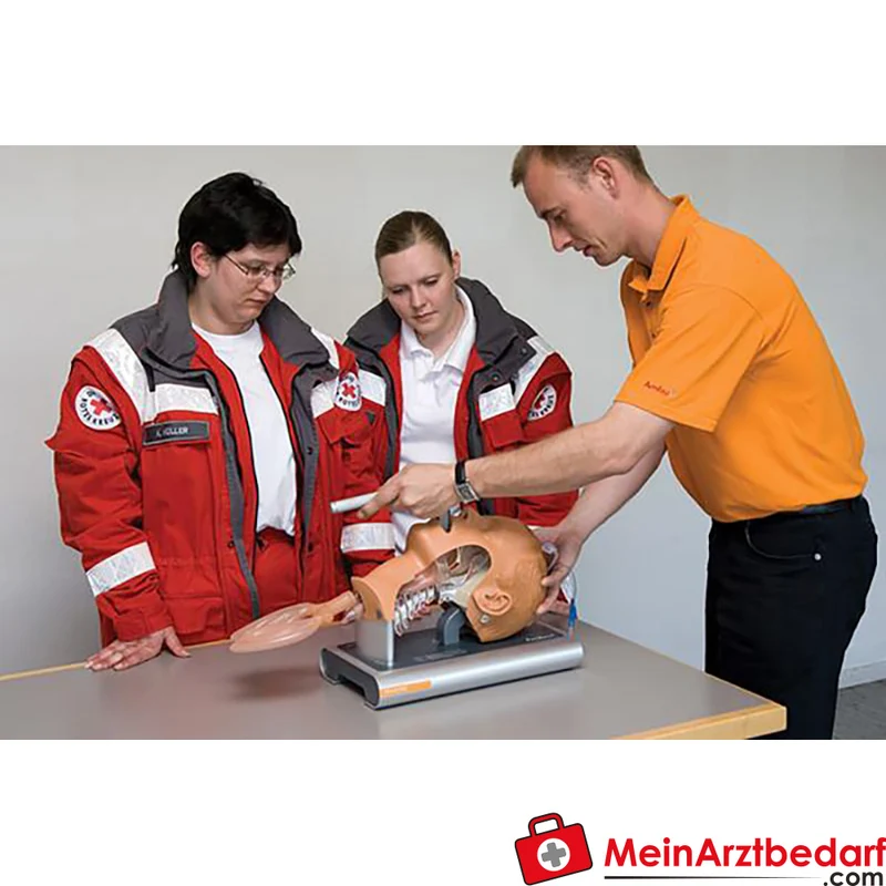 Erler-Zimmer Airway Management Trainer Adult – Erwachsener Intubationstrainer, transparente Pharynx-/Tracheawand, Aluminiumständer 40×24×35 cm