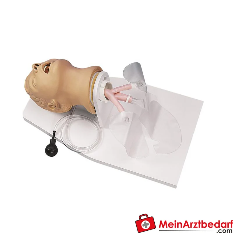 Erler Zimmer Ersatzmagen und Ersatzlunge für Intubationstrainer R10014 (Erwachsener)