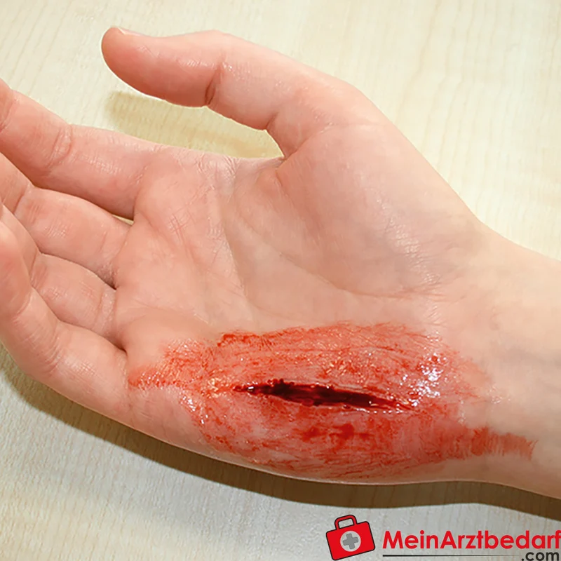 Erler-Zimmer EZ Wounds Wundensimulationsset Professional, 13 Wunden, Trainingsset mit Paste und Kunstblut