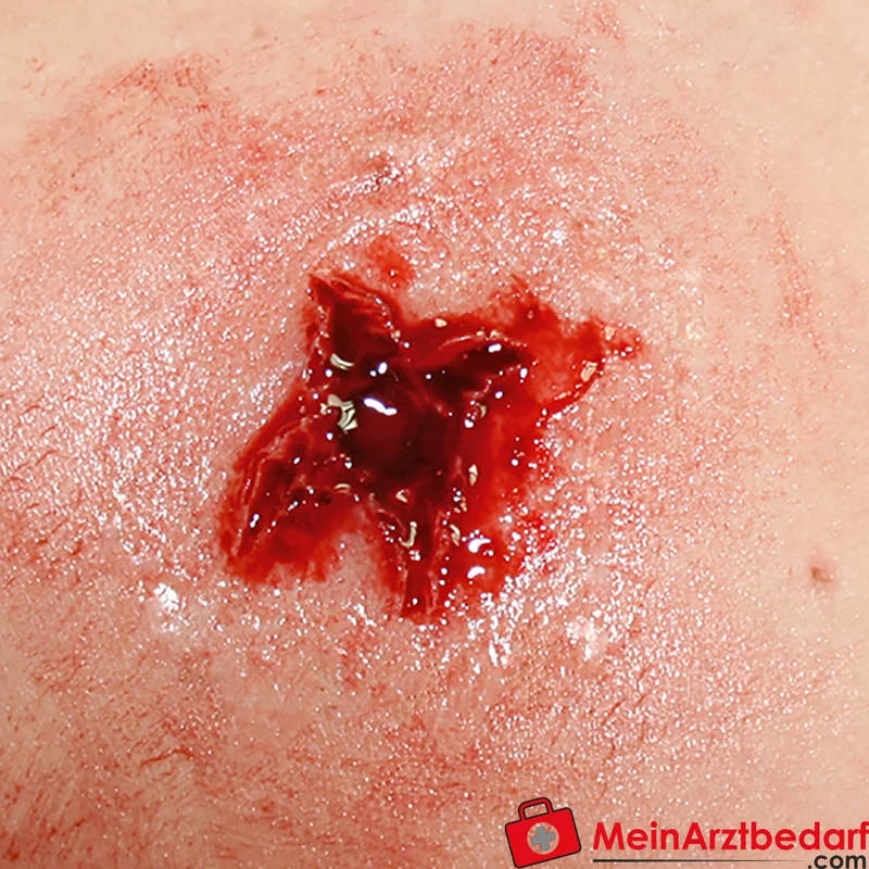 Erler-Zimmer EZ Wounds Wundensimulationsset Professional, 13 Wunden, Trainingsset mit Paste und Kunstblut