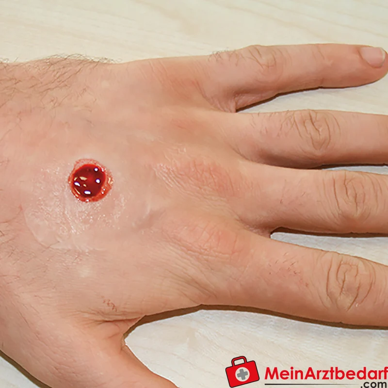Erler-Zimmer EZ Wounds Wundensimulationsset Professional, 13 Wunden, Trainingsset mit Paste und Kunstblut