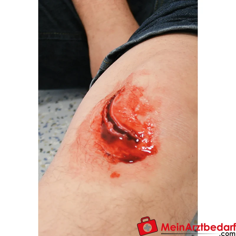 Erler-Zimmer EZ Wounds Wundensimulationsset Professional, 13 Wunden, Trainingsset mit Paste und Kunstblut
