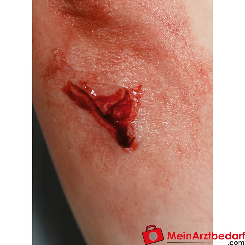 Erler-Zimmer EZ Wounds Wundensimulationsset Professional, 13 Wunden, Trainingsset mit Paste und Kunstblut