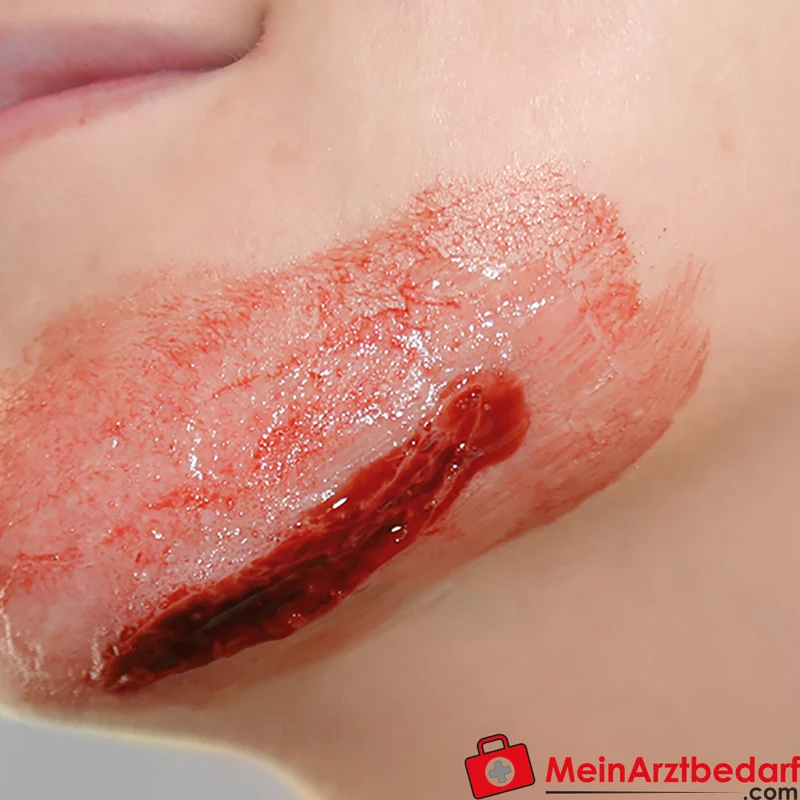 Erler-Zimmer EZ Wounds Wundensimulationsset Professional, 13 Wunden, Trainingsset mit Paste und Kunstblut