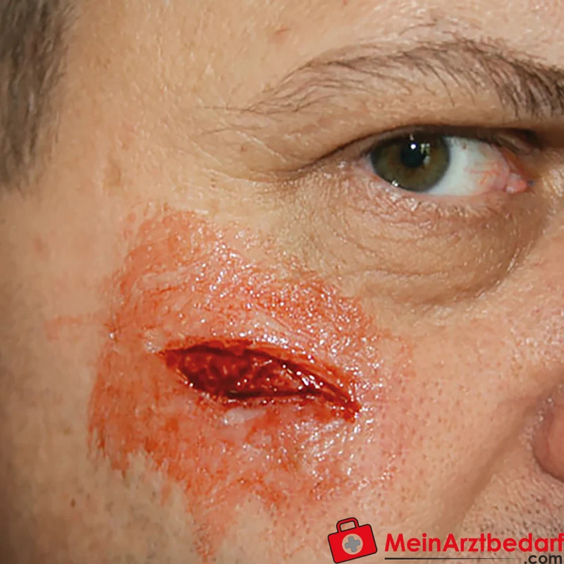 Erler-Zimmer EZ Wounds Wundensimulationsset Professional, 13 Wunden, Trainingsset mit Paste und Kunstblut