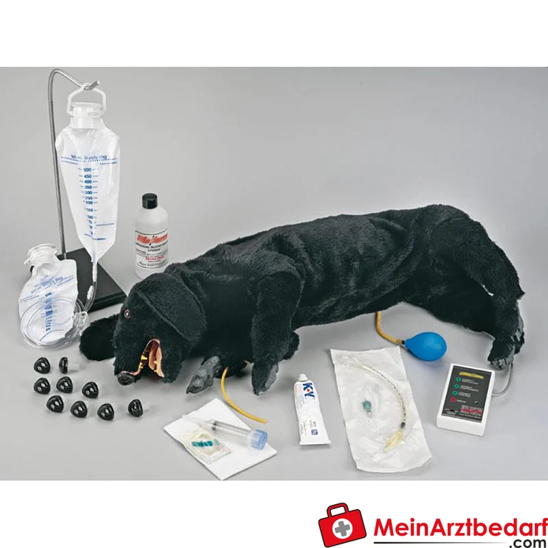Erler-Zimmer HLW-Hund erweiterte Ausführung mit visuell-akustischem Feedback und austauschbaren Schnauzenstücken