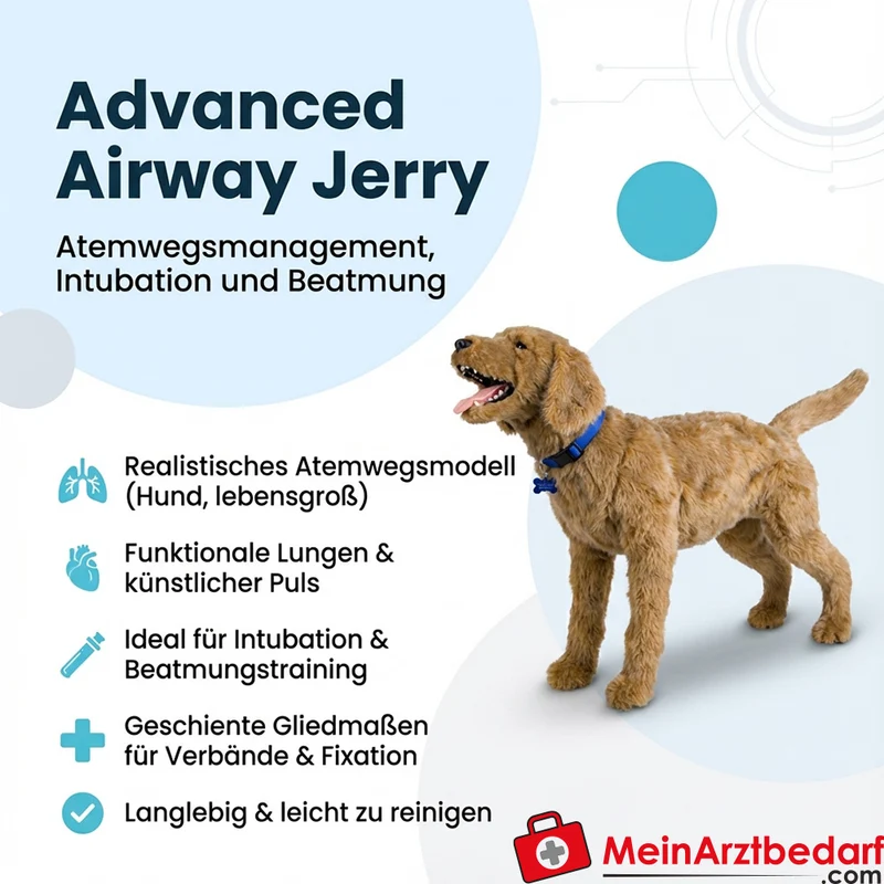 Erler-Zimmer Advanced Airway Jerry Übungspuppe lebensgroß für Atemwegsmanagement, Intubation und Beatmung