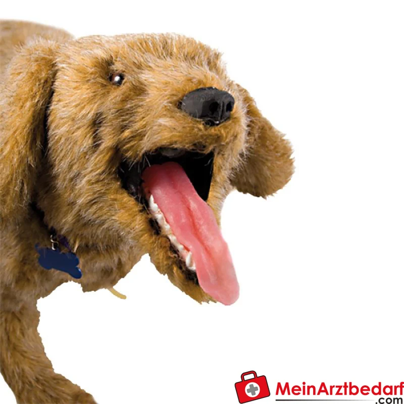 Erler-Zimmer Jerry K-9 HLW-Übungspuppe Hund mit funktionierenden Lungen
