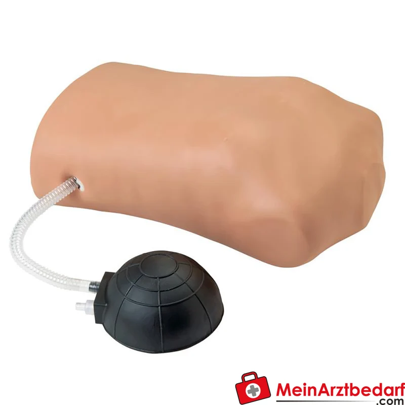 Erler-Zimmer Pneumothorax-Simulator Trainingsmodell für Nadel-Dekompression und Thorakotomie, 23×48,5×48,5 cm