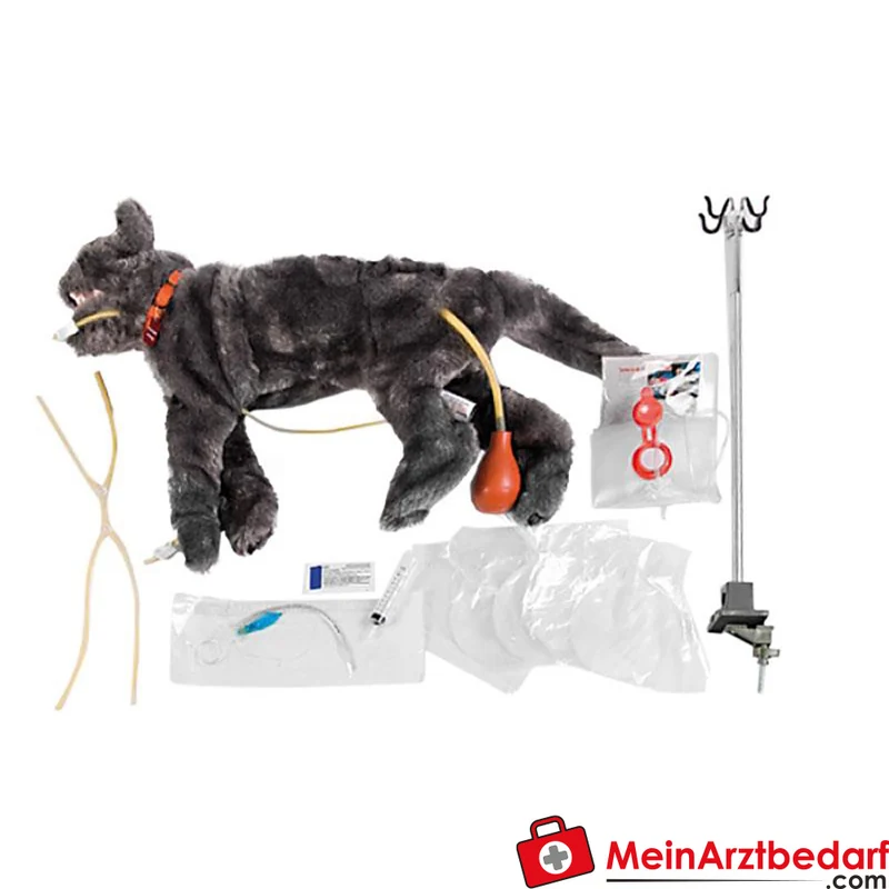 Erler-Zimmer Critical Care Fluffy lebensgroßes Katzen-Trainingsmodell, funktionale Lungen, Venenpunktion