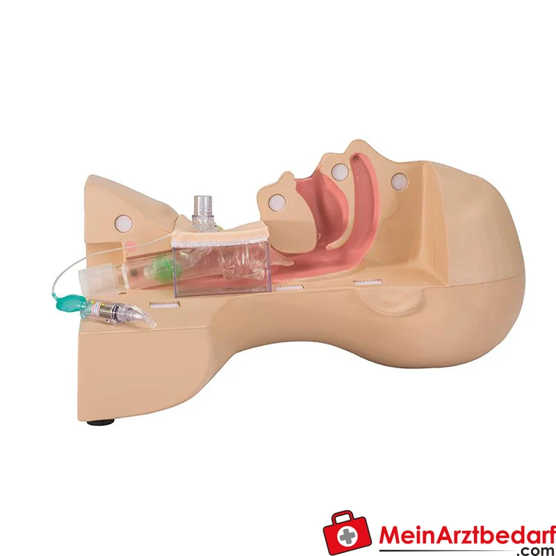 Erler-Zimmer Tracheostomie-Management-Simulator Trainingsmodell mit transparenter, abnehmbarer Trachea