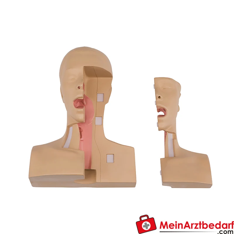 Erler-Zimmer Tracheostomie-Management-Simulator Trainingsmodell mit transparenter, abnehmbarer Trachea