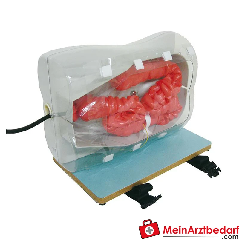 Erler-Zimmer Koloskopie-Simulator Silikon-Kolon-Trainer mit künstlichem Polyp und LST