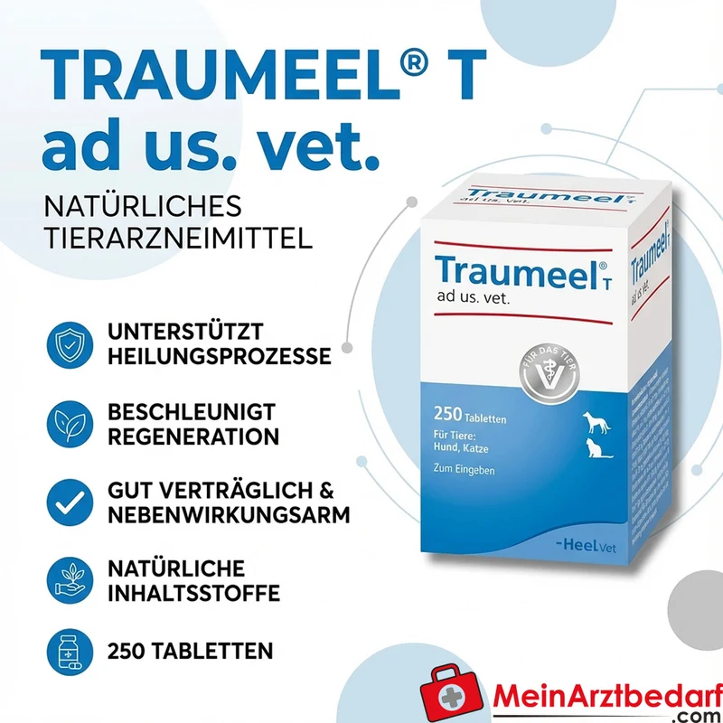 Traumeel T ad us. vet. Tabletten 250 Stück für Hunde und Katzen