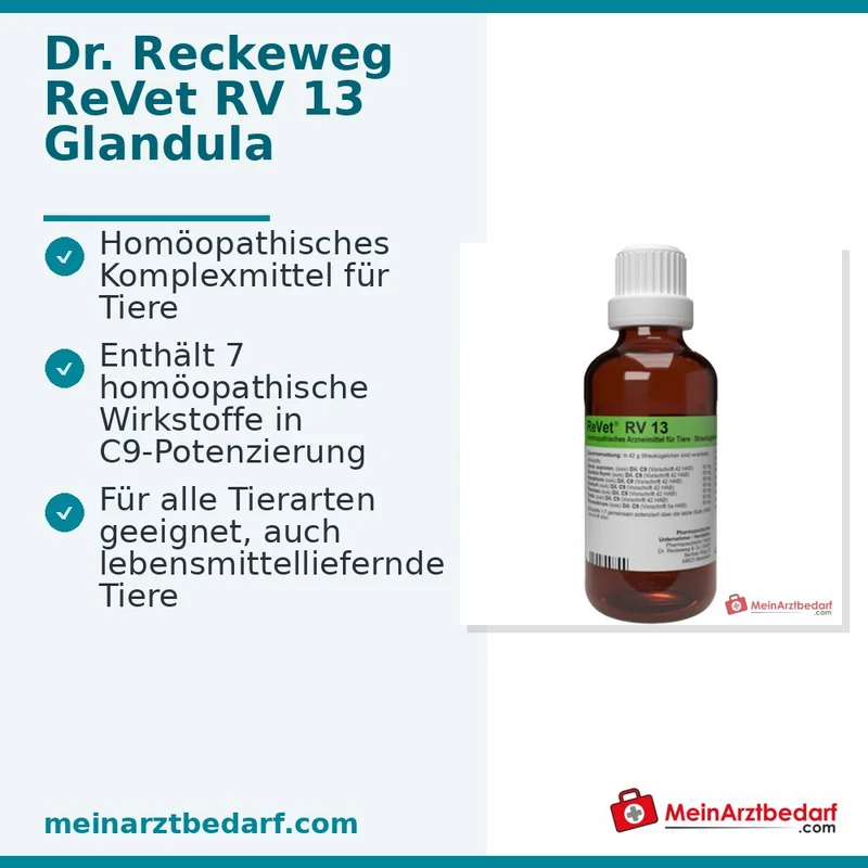 Dr. Reckeweg ReVet RV 13 Globuli vet 42 g