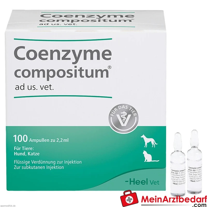 Heel Coenzyme comp. ad us. vet. Ampullen 1 ml 100 Stück