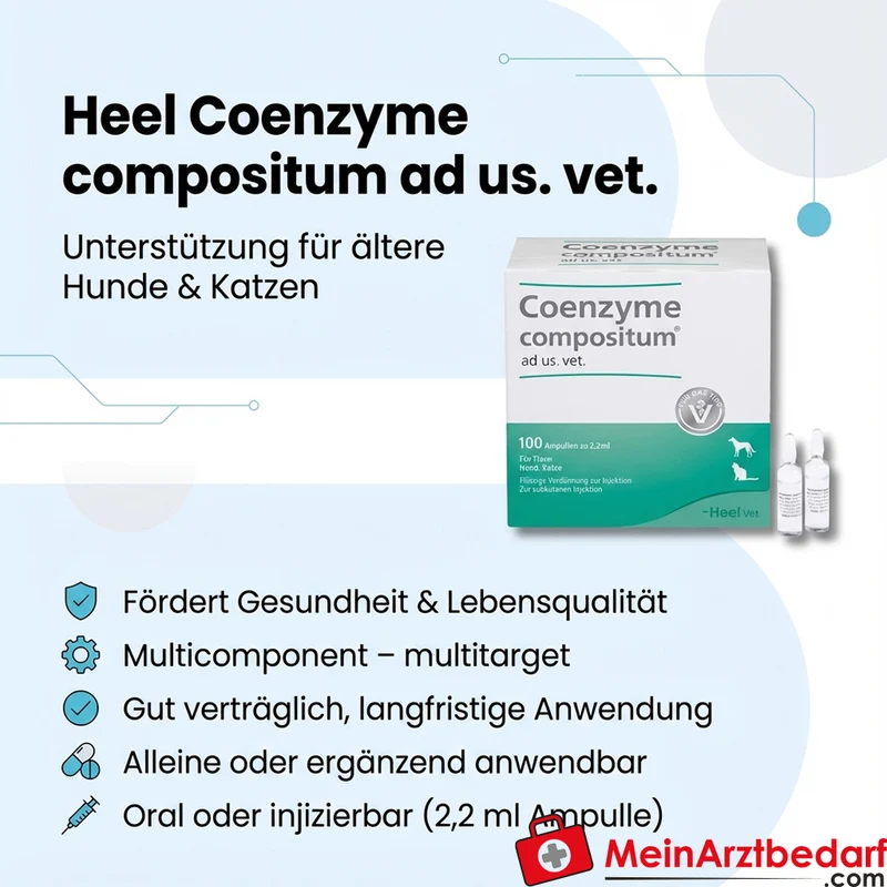 Heel Coenzyme comp. ad us. vet. Ampullen 1 ml 100 Stück