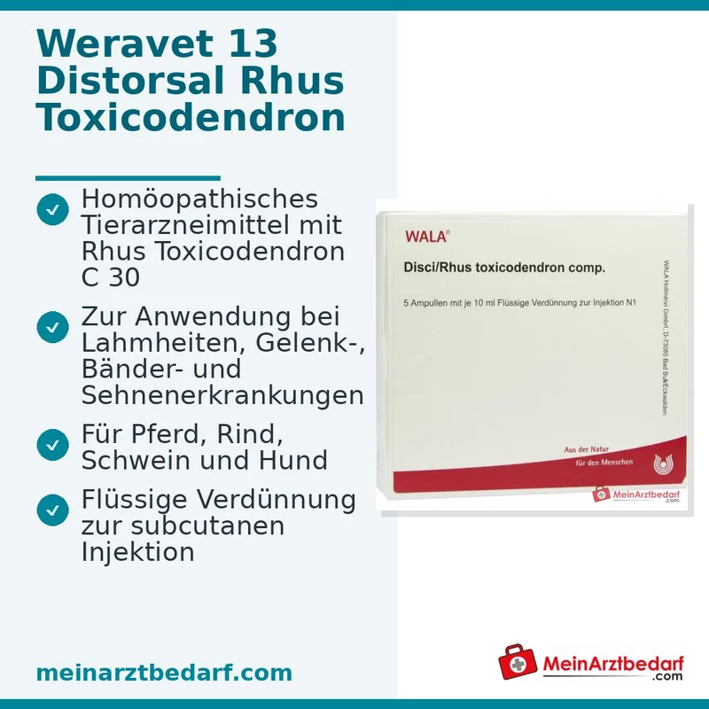 Distorsal 13 vet Rhus toxicodendron Dil. C30 Injektionsampullen 4×10×2 ml