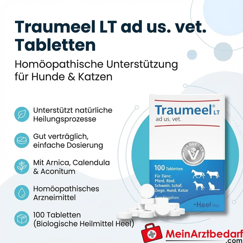 Traumeel LT ad us. vet. Tabletten 500 Stück für Hund & Katze