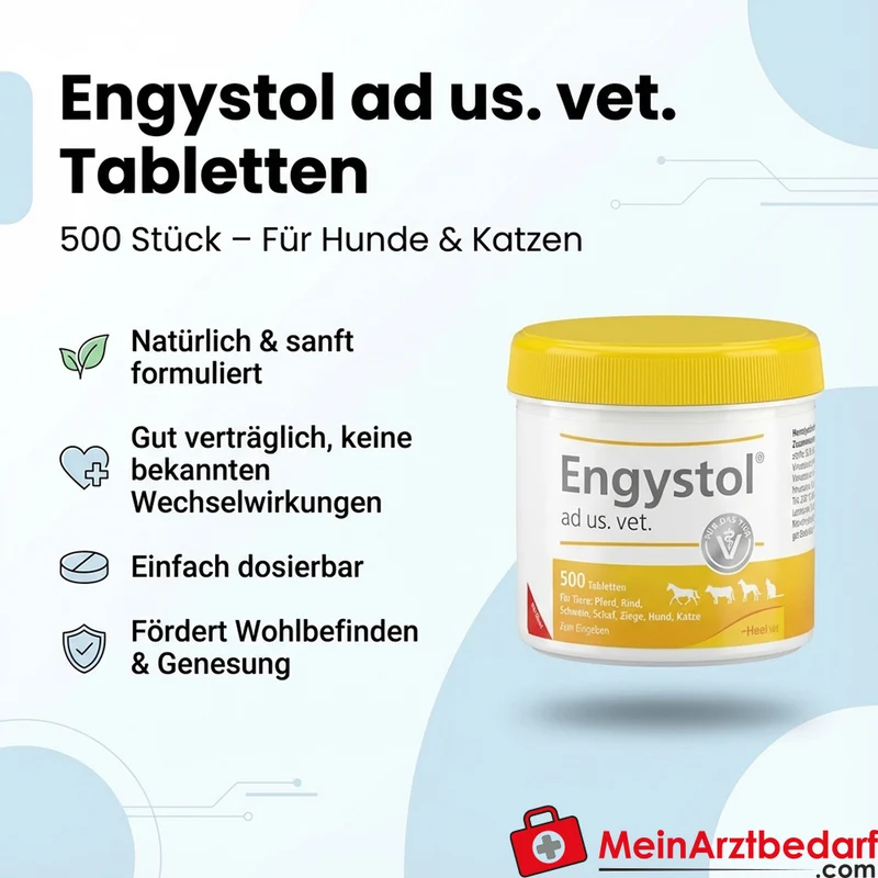 Engystol ad us vet Tabletten homöopathisch 500 Stück für Hunde & Katzen