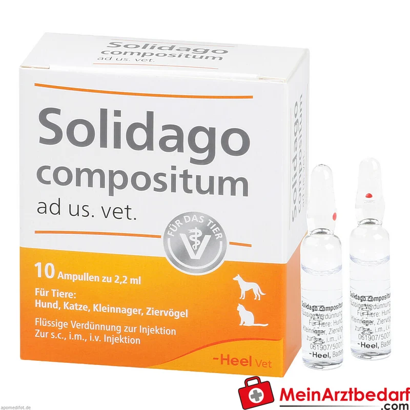 Heel Solidago compositum ad us. vet. Ampullen 10 x 2,2 ml