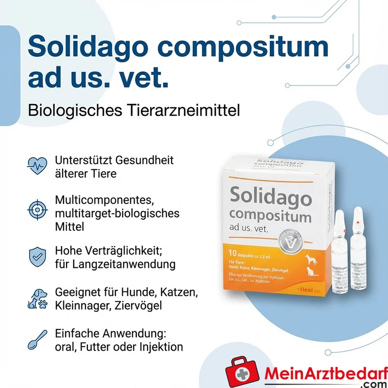 Heel Solidago compositum ad us. vet. Ampullen 10 x 2,2 ml