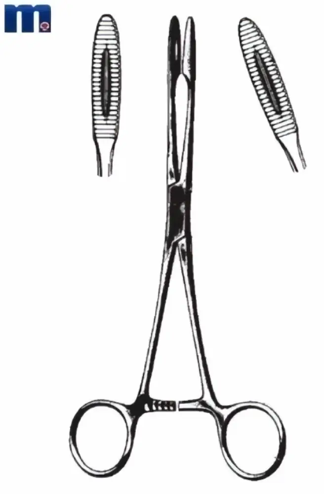 Koorntang, korentang recht Gross-Maier 25 cm (A-merk)