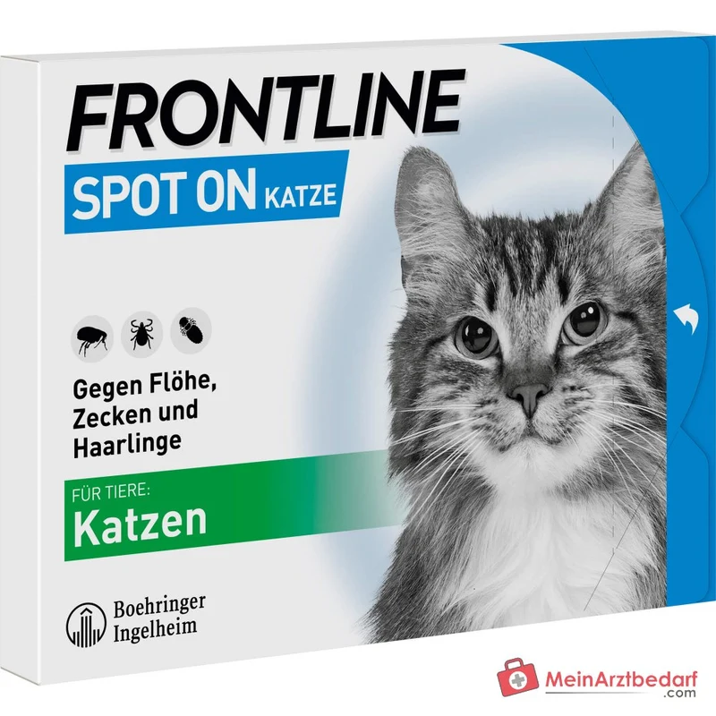 FRONTLINE Spot On für Katzen Fipronil Lösung zum Auftropfen 6 Pipetten